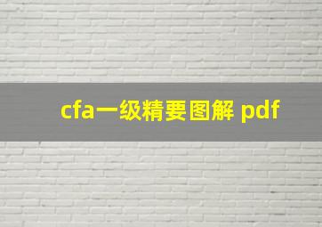 cfa一级精要图解 pdf